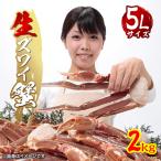 ふるさと納税 岸和田市 巨大 生ズワイ蟹 5L 2kg
