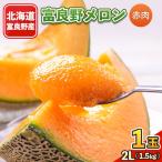 ふるさと納税 富良野市 富良野メロン 2Lサイズ(1.5kg)赤肉 1玉入り