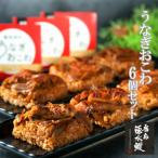 一粒庵 霧島湧水うなぎおこわと博多和牛ごはん