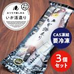 呼子剣先いか活き造り S1サイズ 約120g