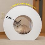 猫のつめとぎ+House まる ぷらすはうすまる