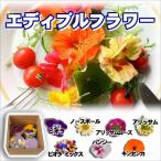 食べられる綺麗なお花 エディブルフラワー