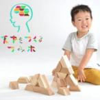 天才をつくる積み木 ―てんつみ― 12個化粧木箱入