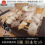 お家で居酒屋の味 串焼き盛り合わせ6種類