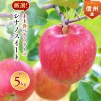 ふるさと納税 南箕輪村 2025年!信州のりんご【シナノスイート】小玉 約5kg 厳選!小玉食べきりサイズ!