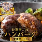 ショッピングふるさと納税 ハンバーグ ふるさと納税 下妻市 【常陸牛100%】特製手ごね煮込みハンバーグ1.2kg(200g×6袋)