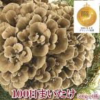 fu.... налог Yoshioka блок 100 день ....500g×1 АО 