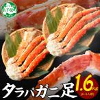 ふるさと納税 弟子屈町 タラバガニ足 約1.6kg 4~5人前 蟹ハサミ・ガイド付 3~4Lサイズ 北海道 弟子屈 3184