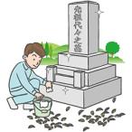お墓清掃 1回分のみ
