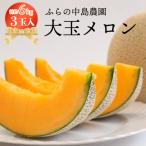 ふるさと納税 富良野市 富良野市産 大玉メロン3玉入り
