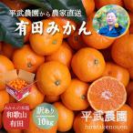 ふるさと納税 有田川町 蛍飛ぶ町から旬の便り 有田みかん 訳あり 10kg 平武農園の有田ブランド田口みかん