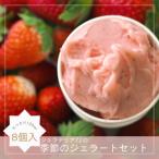 ふるさと納税 宮崎市 季節のおすすめジェラート8個セット