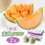 厳選赤肉メロン2玉入箱