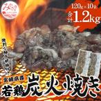 ふるさと納税 宮崎市 本場宮崎・名店「小料理 ひゅう」(旧_宮崎肉魚青)若鶏炭火焼【しお】(宮崎県産冷凍パック1.2kg)