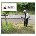 空き家の除草作業