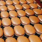 とろ~りとろける半生チョコケーキ 20個