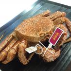 毛ガニ約900g 孫七タグ付き