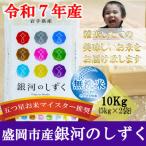 ふるさと納税 盛岡市 令和7年産 銀河のしずく 無洗米 お米マイスター推奨 盛岡市産 10kg