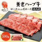 ふるさと納税 養老町 養老ハーブ牛　ロースまたは肩ロース　焼肉用　500g