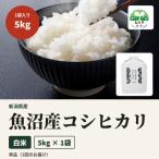 令和8年産 米農家自慢の魚沼産 コシヒカリ