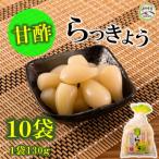 純 甘らっきょうセット 130g×10袋