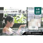 ふるさと応援寄附感謝券 商品券 10枚