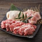 伊万里牛 A5 小間切れ500gと有田鶏モモ肉500g