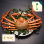 ふるさと納税 射水市 【富山県新湊産】 ボイル紅ズワイ蟹姿(約600g)×1杯