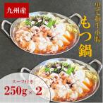 九州産ぷりぷりの小腸 割烹 もつ鍋セット 500g