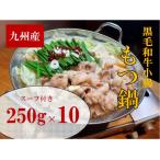 九州産ぷりぷりの小腸 割烹 もつ鍋セット 2.5kg