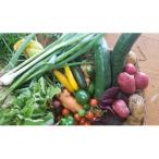 美山のかやぶき京野菜セット