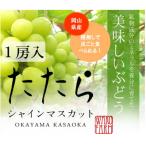 ぶどう たたらみねらる シャインマスカット