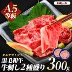 牛刺し A5等級 黒毛和牛 2種盛 300g