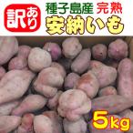 ふるさと納税 西之表市 中園ファームの熟成安納芋(生芋)訳あり品5kg