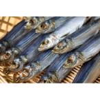 うるめ丸干し 500g