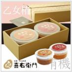 喜右衛門 有機味噌 乙女椿 おとめつばき 白大豆味噌400g×2種