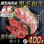 産黒毛和牛A5ランク焼肉セット400g