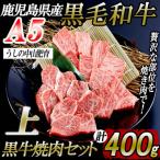 黒毛和牛A5ランク上焼肉セット400g
