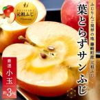 ふるさと納税 藤崎町 葉とらずサンふじ 厳選 小玉 約3kg ご家庭用りんご(訳あり) 青森県産リンゴ 青森林檎