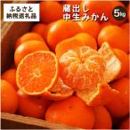 ふるさと納税 海南市 蔵出しみかん中生|和歌山県海南市下津町の特産品の蔵出しみかんの中生品種を産地直送でお届け