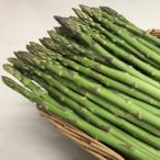 fu.... налог три дерево блок есть перевод спаржа [.... ...] semi длинный весна .