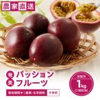栽培期間中農薬 化学肥料不使用 奄美パッションフルーツ 1kg