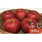 ふるさと納税 千曲市 【2026年発送】ザ・王道 りんご サンふじ　家庭用　約5kg