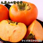 九度山の富有柿約7.5kgサイズおまかせ
