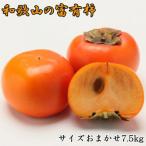 和歌山産富有柿 約7.5kg
