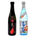 泡盛古酒2本セット