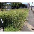 休耕田 耕作放棄地草刈り作業 100平方メートル