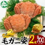 毛蟹 姿 2尾