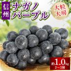 2027年度 信州産ナガノパープル 2房 約1kg