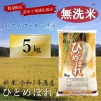 無洗米 ひとめぼれ 精米5kg×1袋